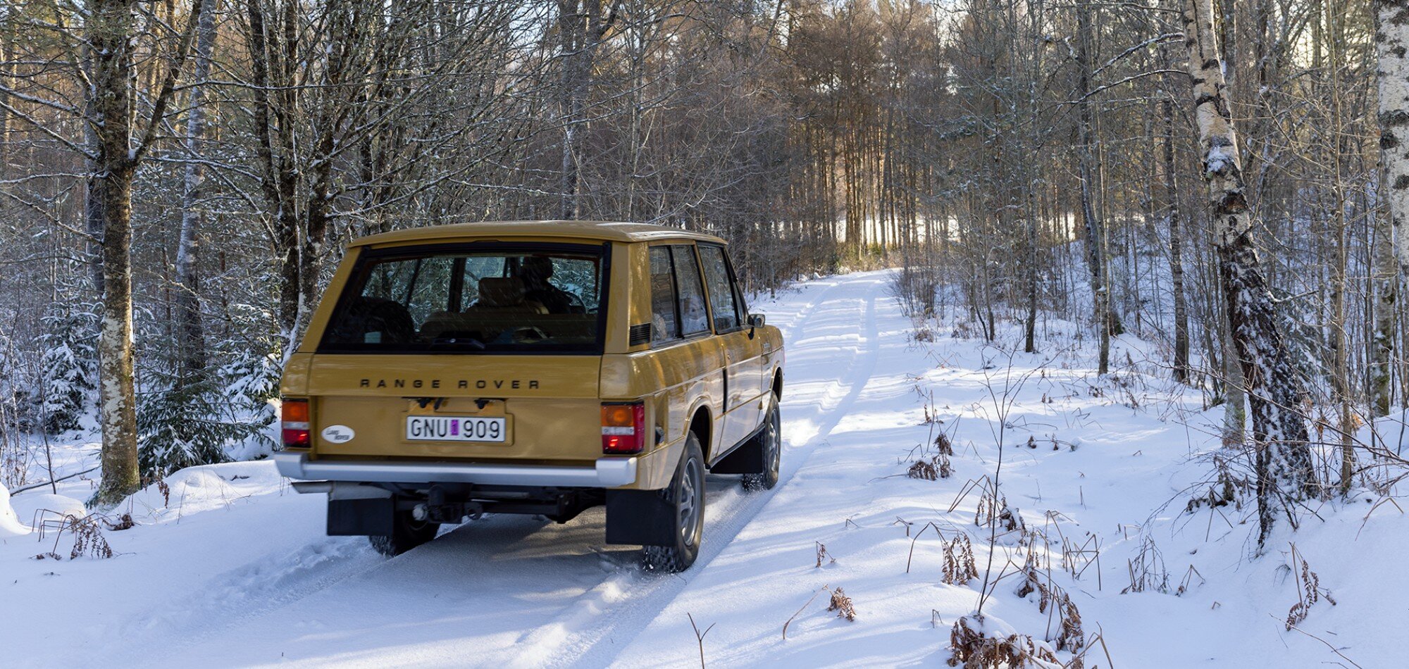 Rover_vinter